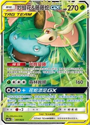 Venusaur & Snivy-GX