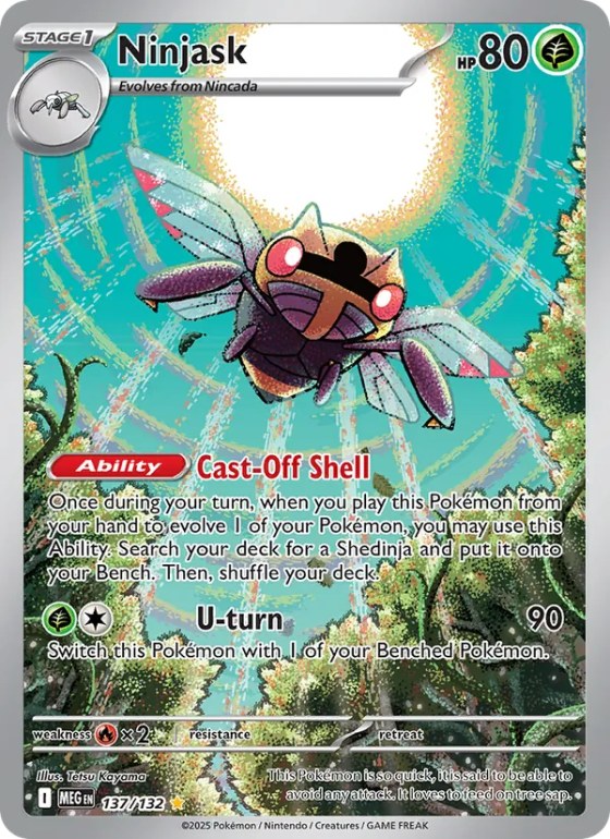 Ninjask
