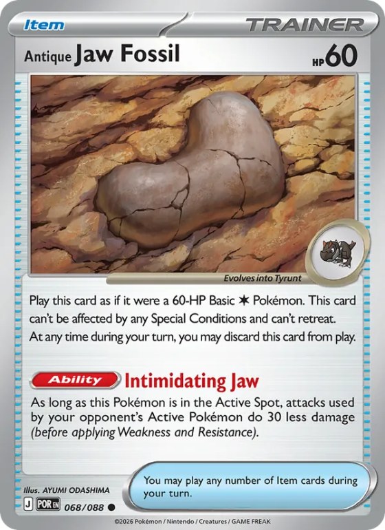 Antique Jaw Fossil - Reverse Holo