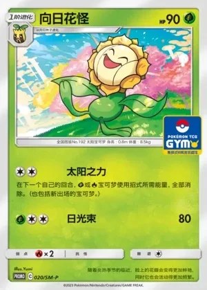 Sunflora