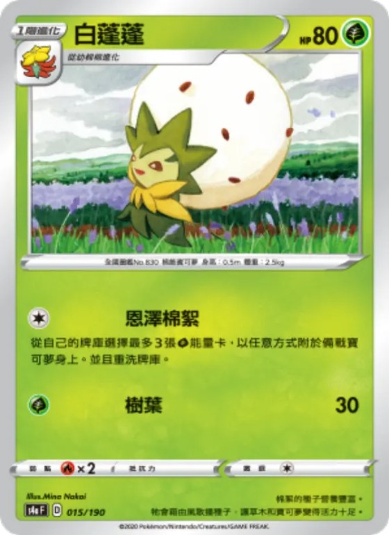 白蓬蓬