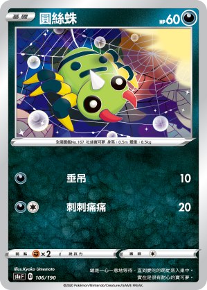 圓絲蛛
