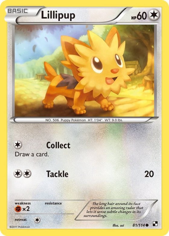 Lillipup (81) - Reverse Holo