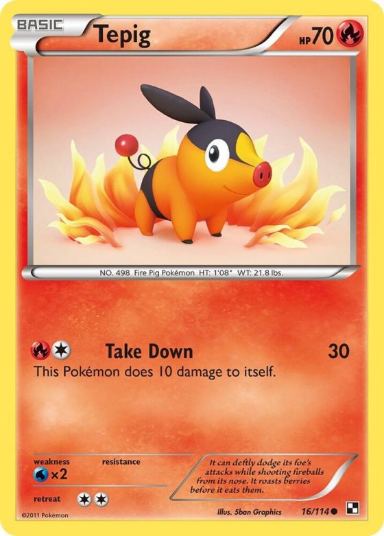 Tepig (16) - Reverse Holo