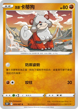 洗翠 卡蒂狗