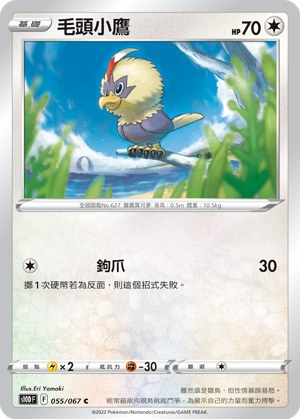 毛頭小鷹