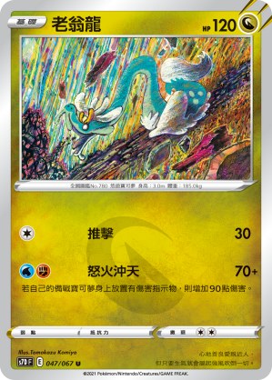 老翁龍