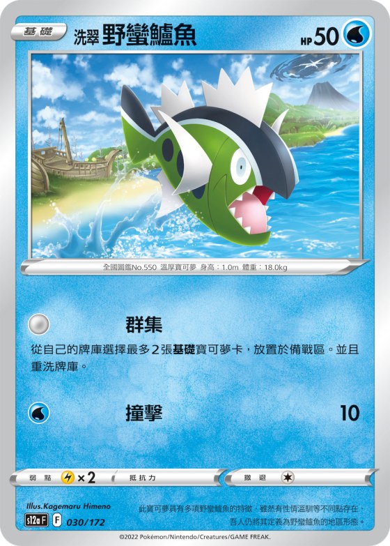 洗翠 野蠻鱸魚