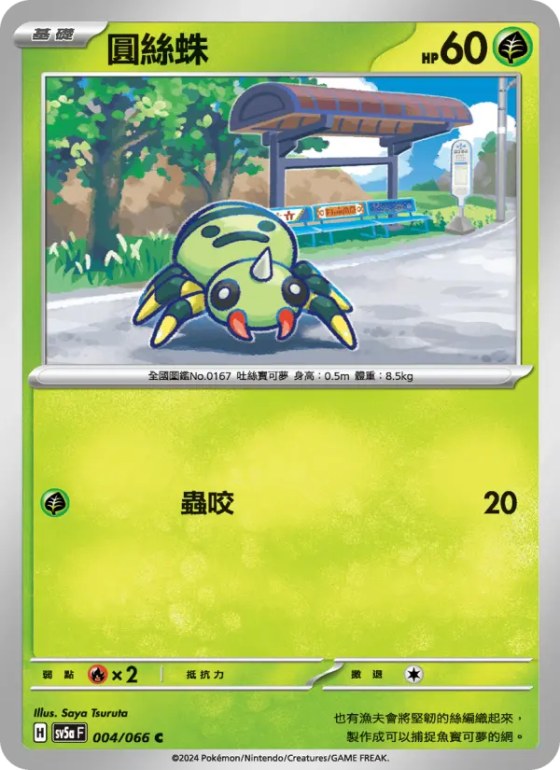 圓絲蛛