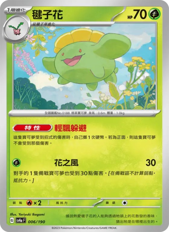 毽子花