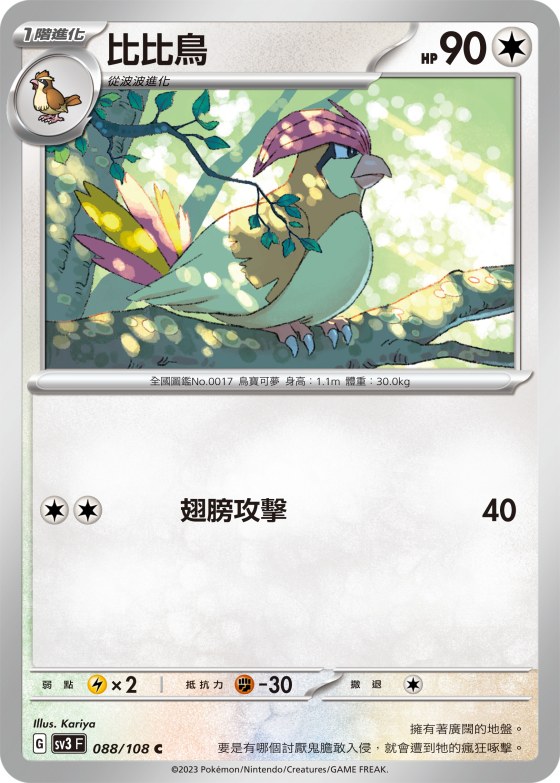 比比鳥