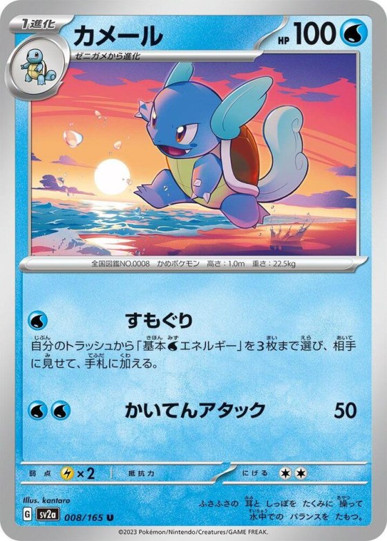 Wartortle - Master Ball Pattern