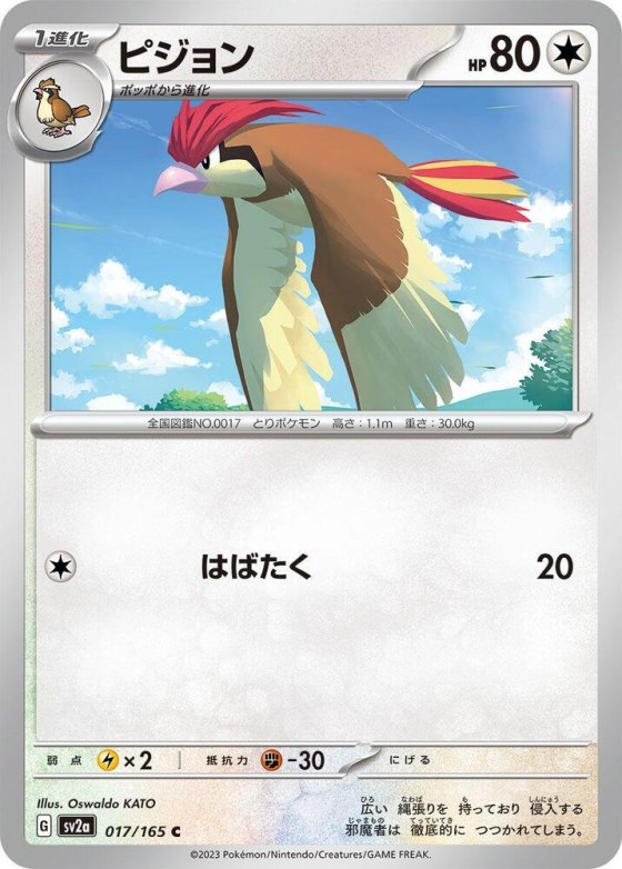 Pidgeotto - Master Ball Pattern