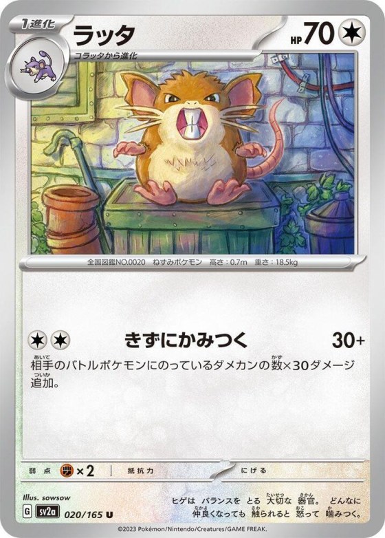 Raticate - Master Ball Pattern