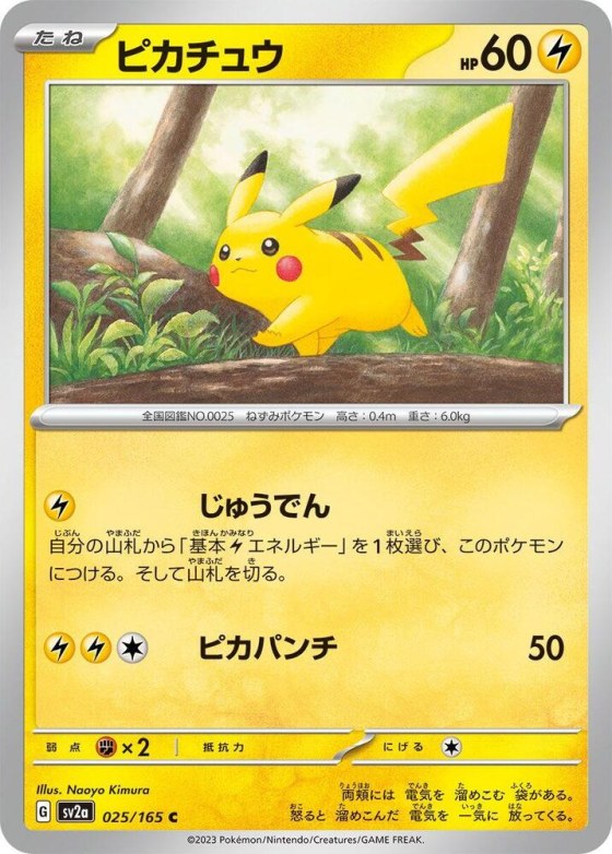 Pikachu - Master Ball Pattern