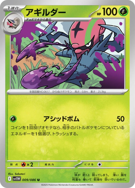 Accelgor - Master Ball Pattern