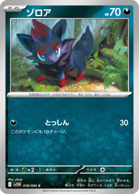 Zorua - Master Ball Pattern