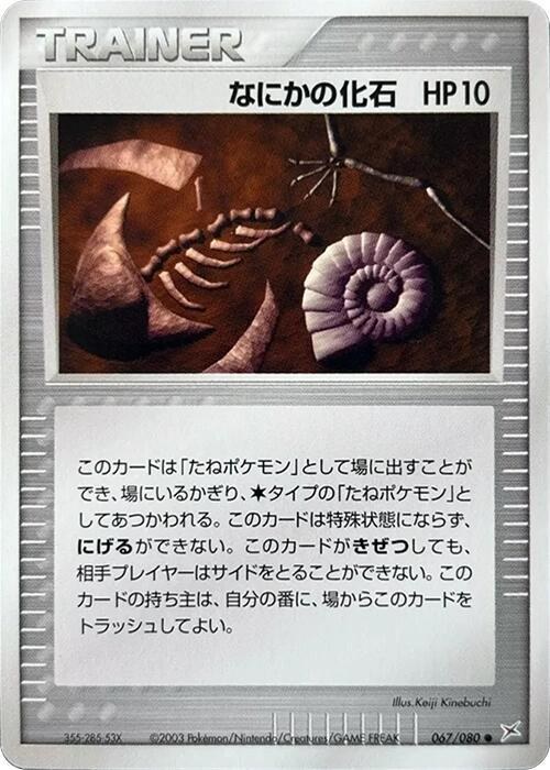 Mysterious Fossil - 1st Edition