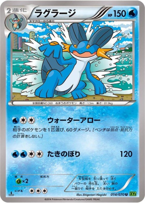 Swampert - 1st Edition