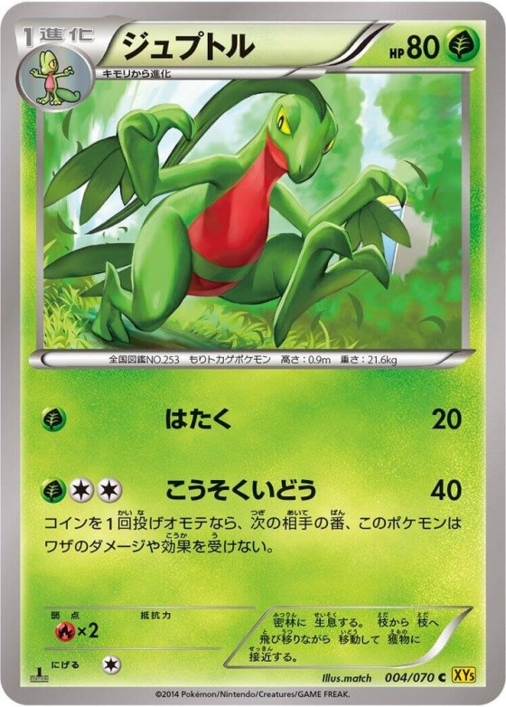 Grovyle - 1st Edition