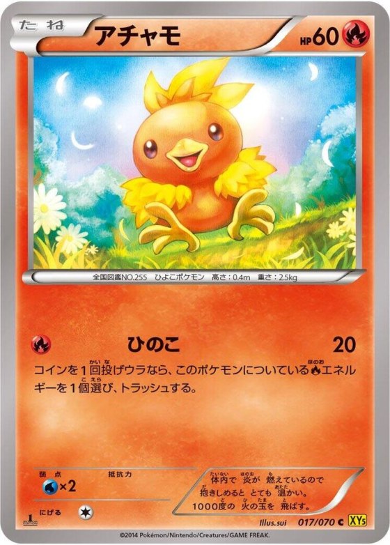Torchic - 1st Edition