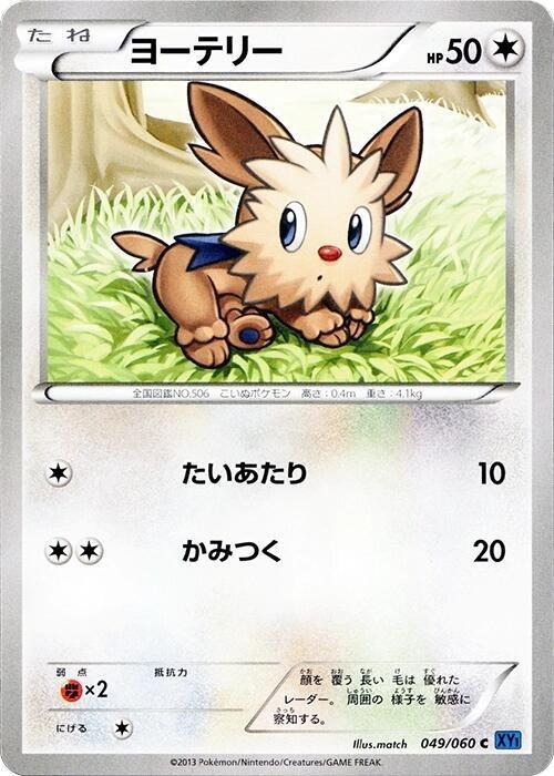 Lillipup - 1st Edition