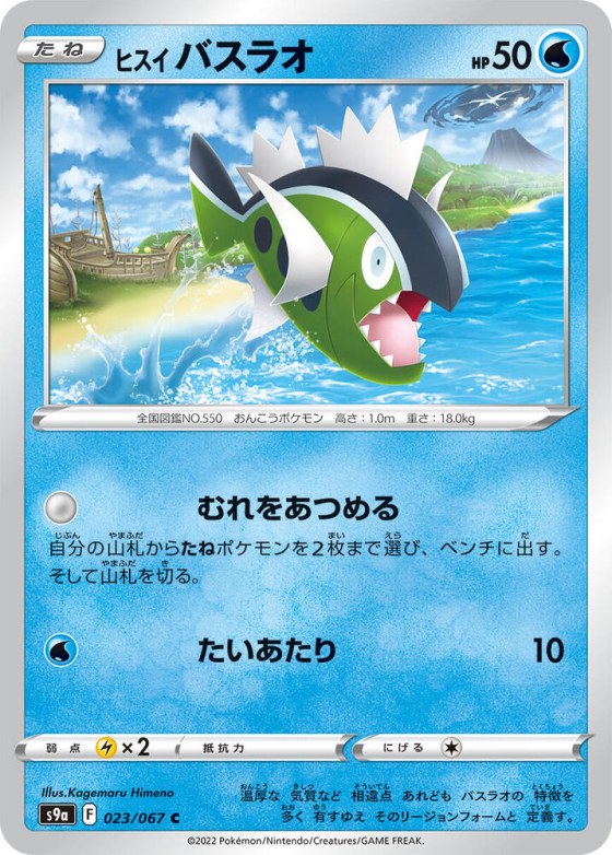 Hisuian Basculin - Poke Ball Pattern