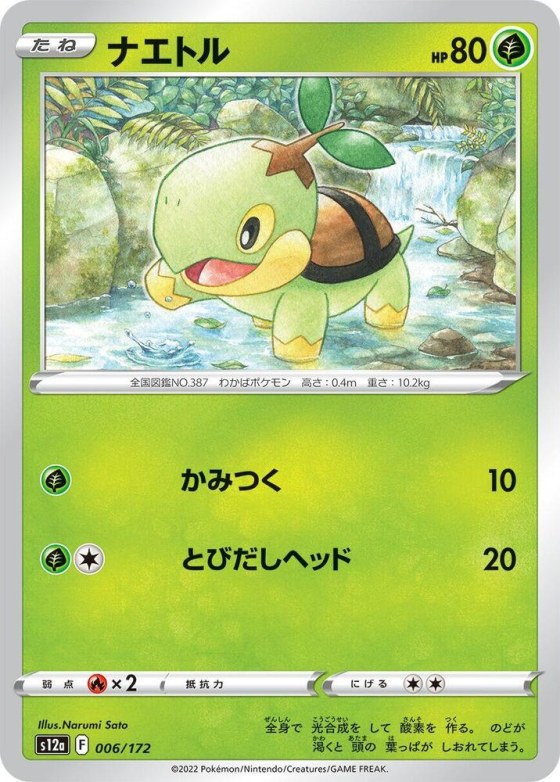 Turtwig