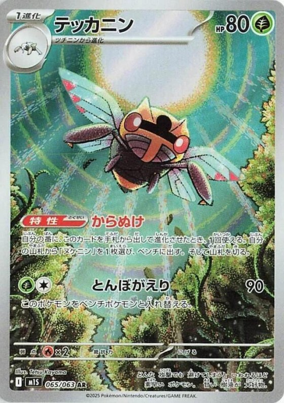 Ninjask