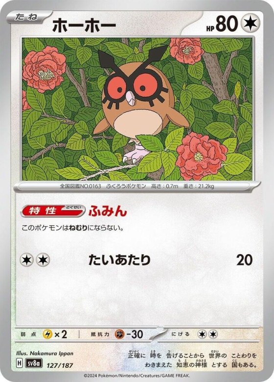 Hoothoot - Master Ball Pattern