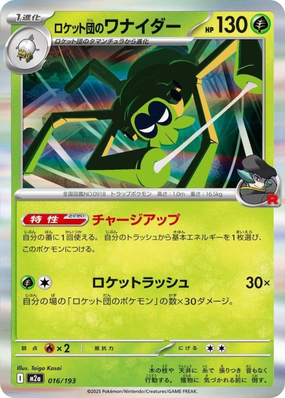Team Rocket's Spidops - Team Rocket Pattern