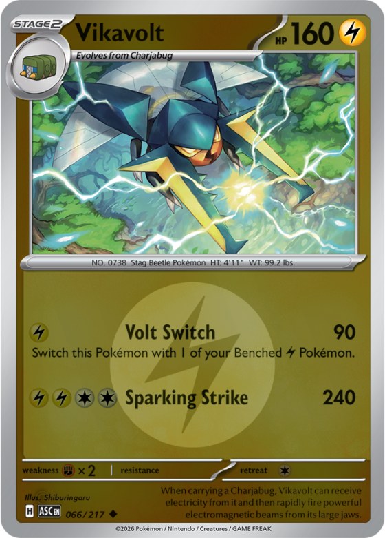Vikavolt - Energy Symbol Pattern