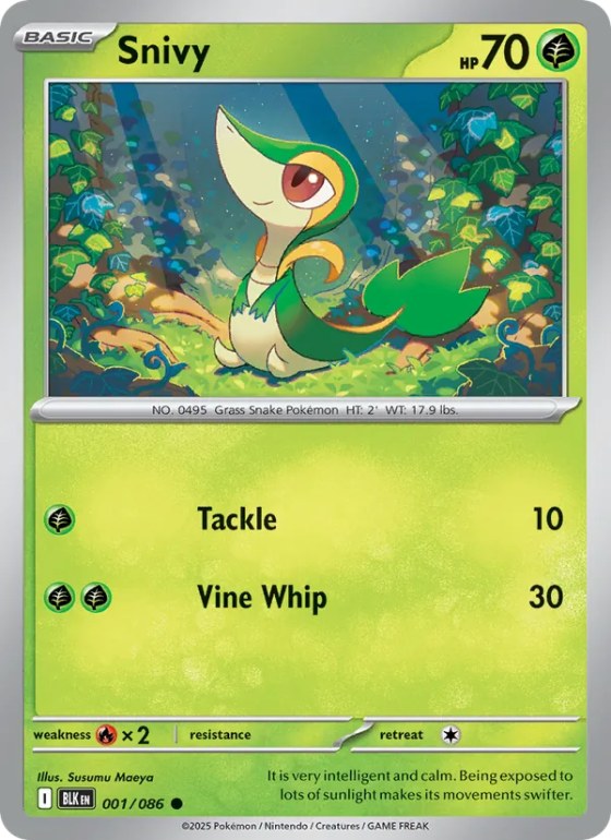 Snivy - Master Ball Pattern