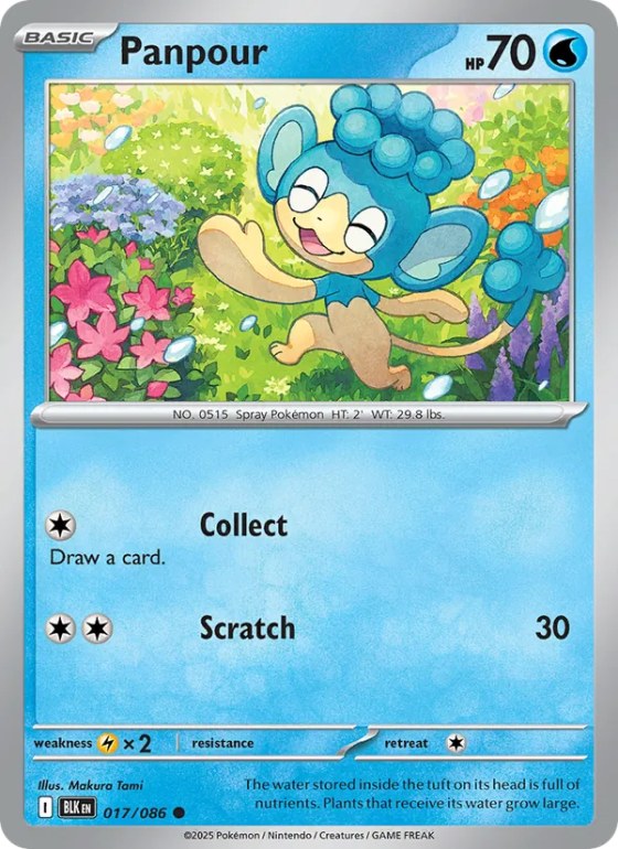 Panpour - Master Ball Pattern