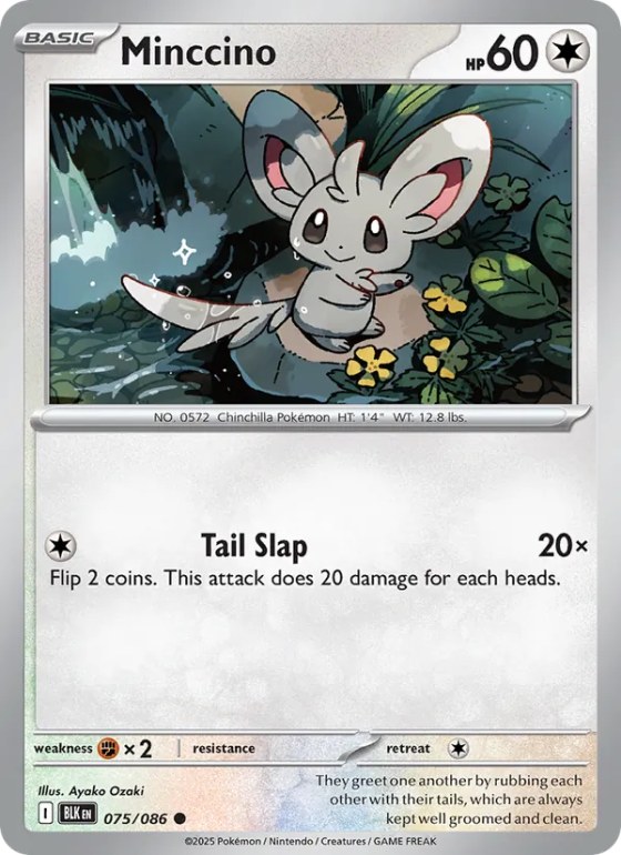 Minccino - Master Ball Pattern