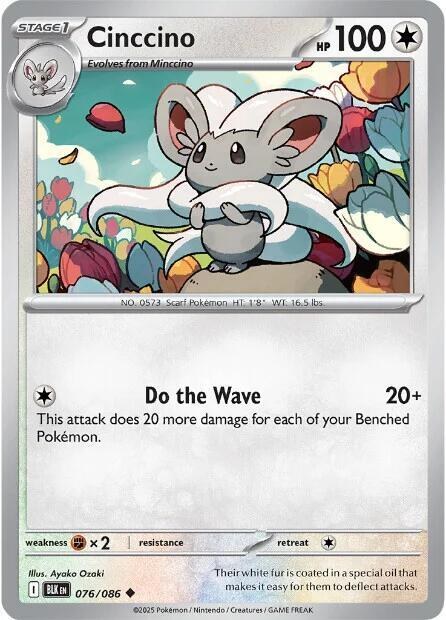 Cinccino