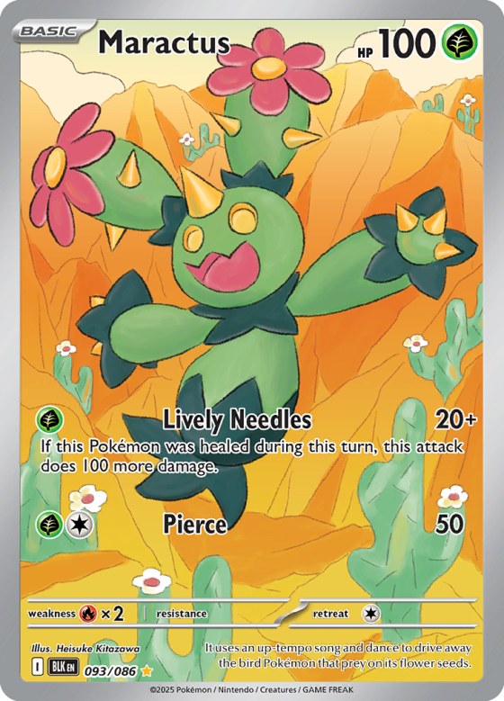 Maractus