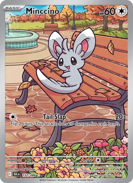 Minccino
