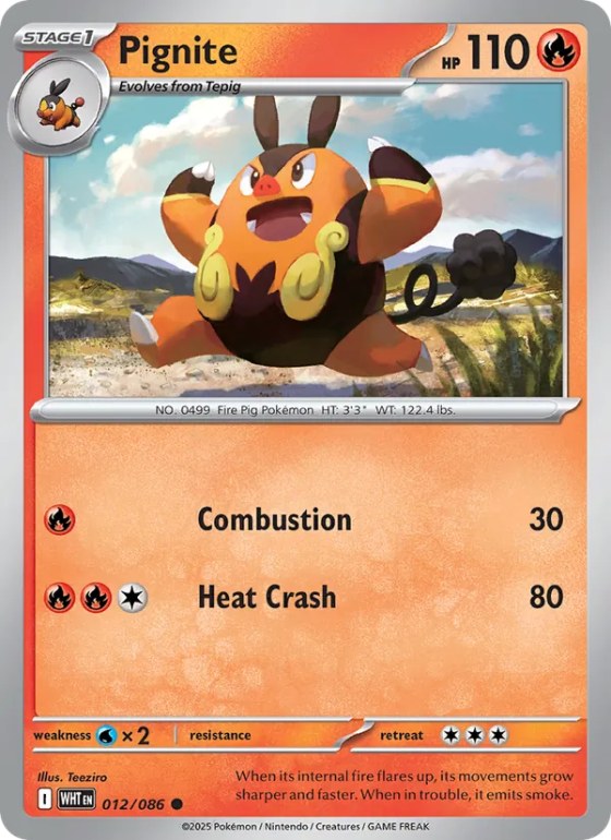 Pignite - Master Ball Pattern
