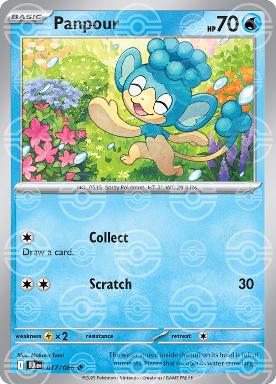 Panpour - Poke Ball Pattern