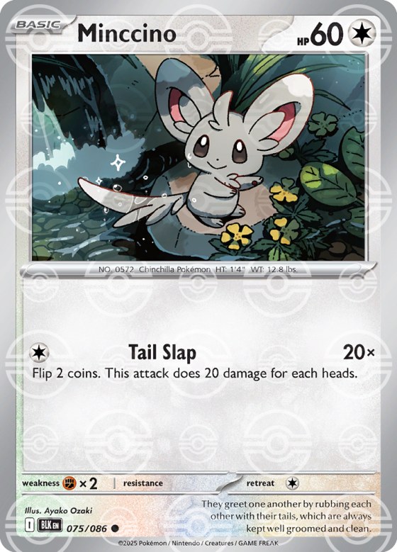 Minccino - Poke Ball Pattern
