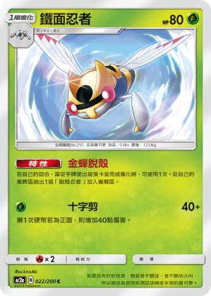 Ninjask