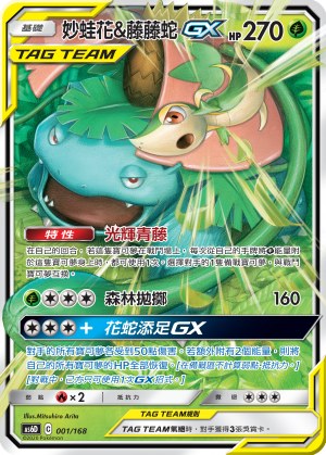 Venusaur & Snivy-GX