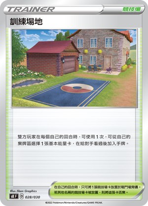 Training Court