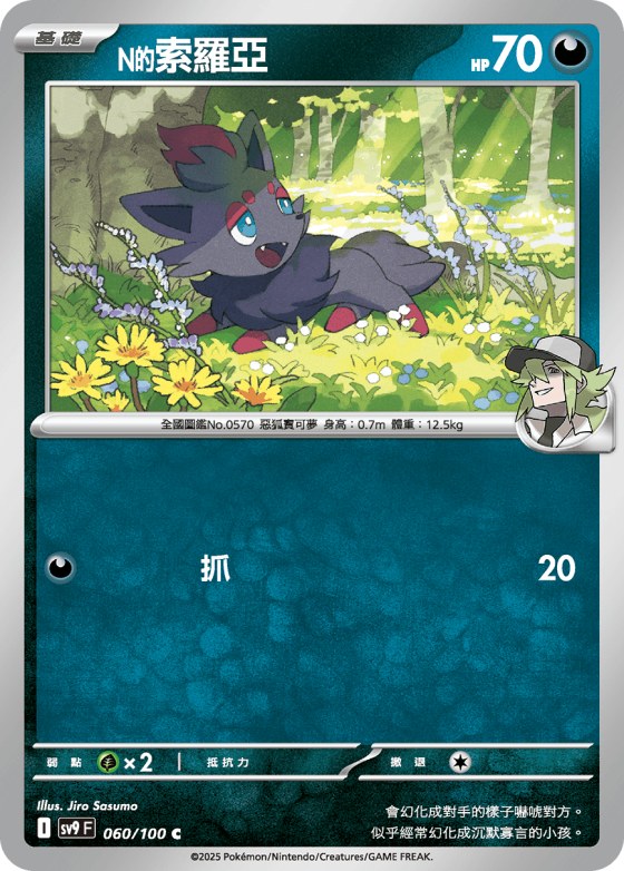 N's Zorua