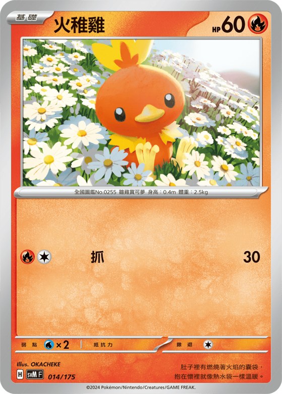 Torchic