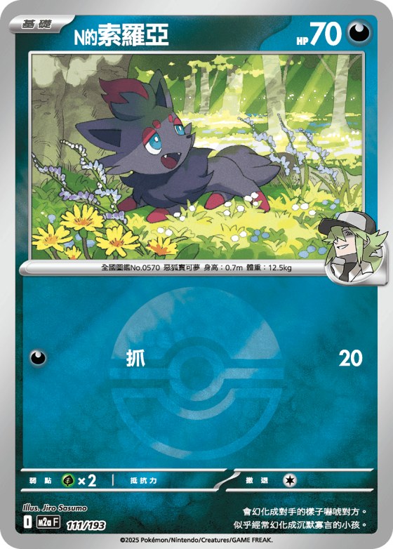 N's Zorua - Poke Ball Pattern