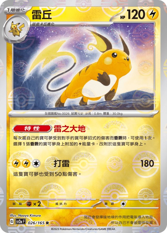 Raichu - Poke Ball Pattern