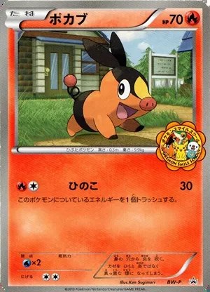 Tepig