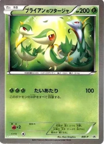 _'s Snivy
